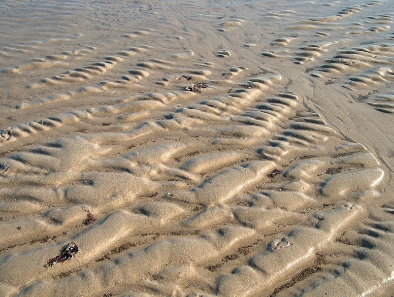 Alien Landscape
